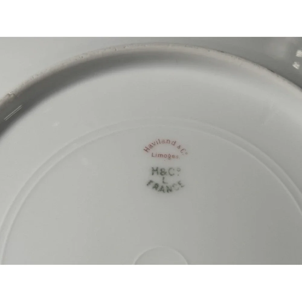 Schleiger 243 Haviland Limoges Salad‎ Plate Roses Rare Discontinued